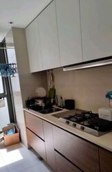 The Miltonia Residences (D27), Condominium #465016681
